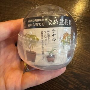 Miniature Bonsai Seed Kit